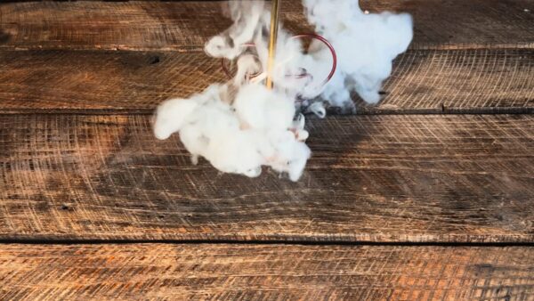 Brainteaser - Life was like a Box of Chocolates